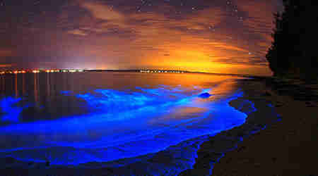 【神奇】湖水泛荧光？yes! 姐带你去澳洲的“潘多拉星球之湖”