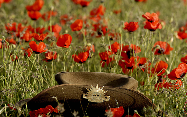 今天，Anzac Day！澳新军团百周年纪念日！老澳老新这样纪念为国牺牲的将士们！