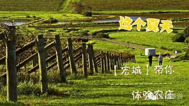 什么才是澳洲乡村生活？ --- 这个夏天，带你去体验澳洲农庄 【宏城独家】墨尔本农庄2日体验出发咯！！