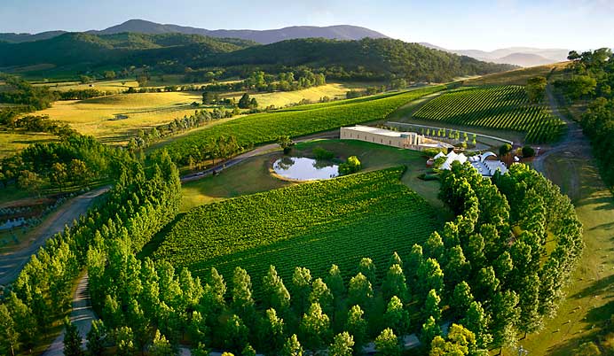 yarra-valley-winery-tour