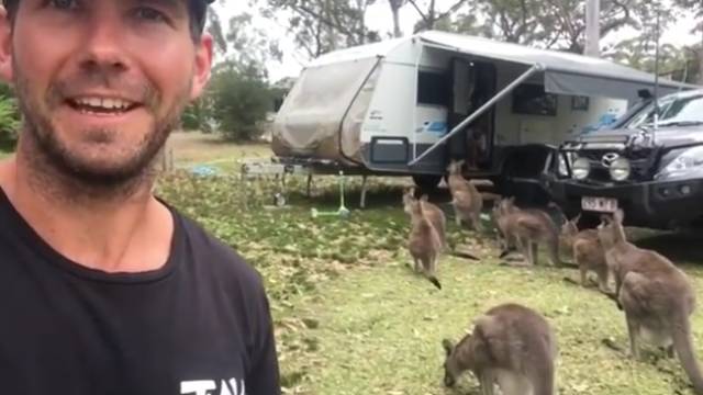 澳洲一家野外度假，偶然接待了一隻好奇的袋鼠，结果第二天打开门看見奇境