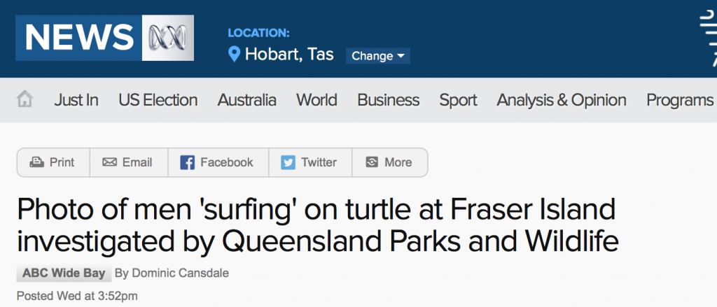 澳男子欺负海龟被强烈谴责，或罚款2万澳元！