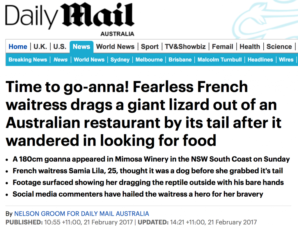 很土澳：新州餐厅惊现2米巨蜥！美女服务员竟面带微笑徒手将牠拖走！
