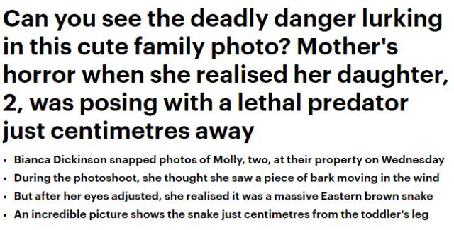 蛇出没请注意！澳洲母亲给女儿拍了一张恐怖的照片，结果却被土澳网友玩坏了